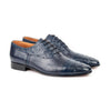 Navy-Ostrich Adem